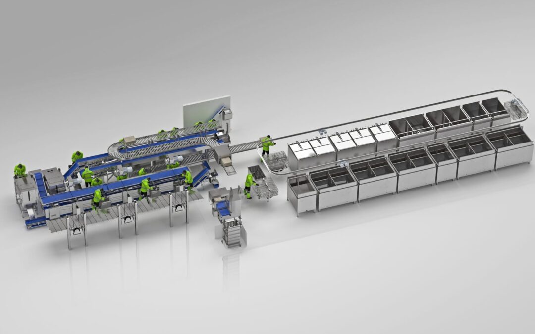 Combined King crab and snow crab factory